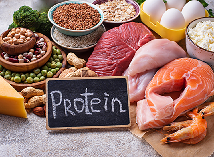 Healthy lean proteins, red meat, poultry, eggs, legumes, seafood, dairy